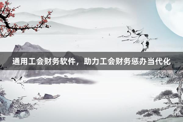通用工会财务软件，助力工会财务惩办当代化