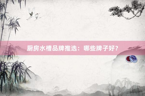 厨房水槽品牌推选：哪些牌子好？