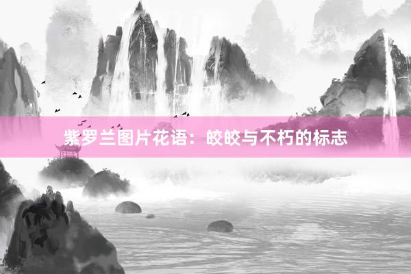 紫罗兰图片花语：皎皎与不朽的标志